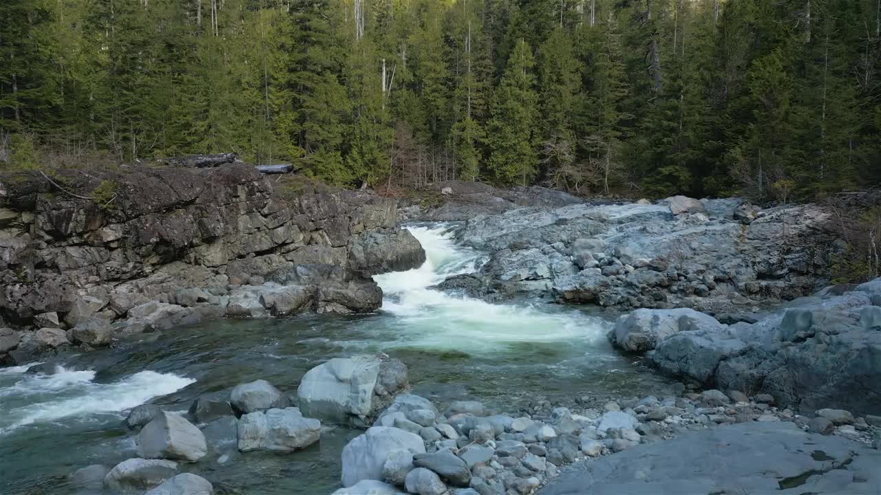 淡水沿着河流和岩石流下。拍摄于温哥华岛视频下载