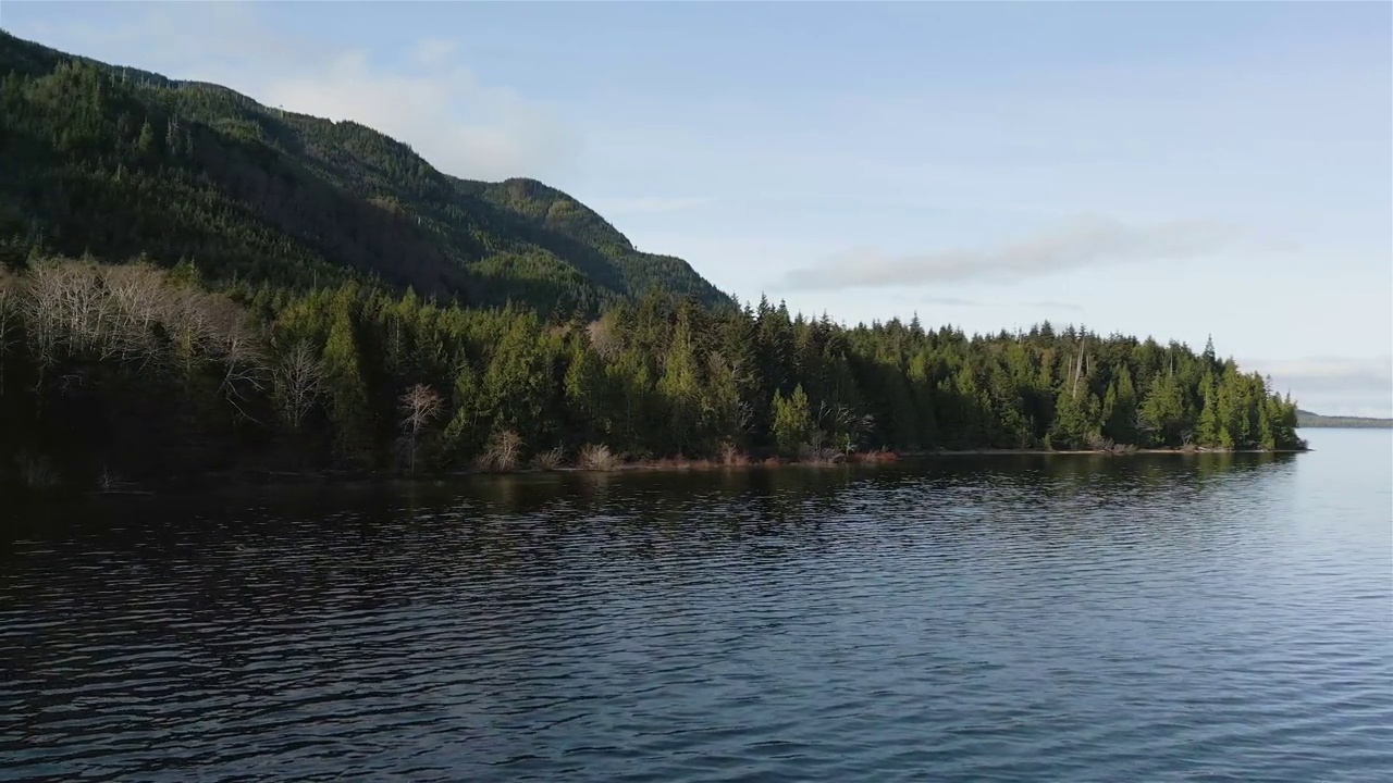 加拿大山地景观和湖泊鸟瞰图。拍摄于温哥华岛视频下载