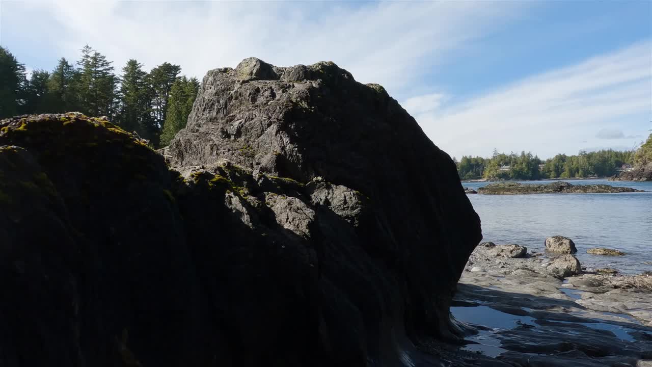 太平洋西海岸岩石海岸上的树木和崎岖的岩石。视频下载