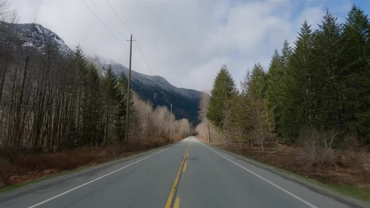 从阿尔伯尼港到托菲诺的加拿大自然风景公路。视频下载