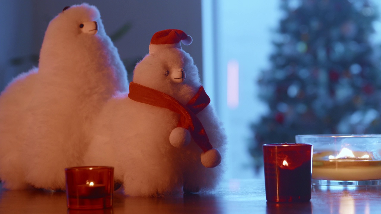 毛茸茸的羊驼为圣诞节盛装，节日装饰，准备过圣诞节视频下载