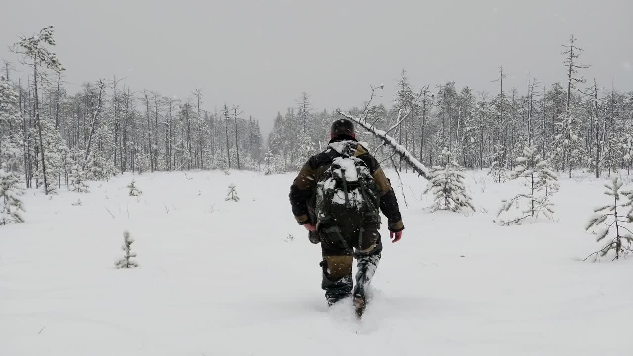 背着背包旅行的男子。冬季徒步旅行者在森林里徒步。视频下载
