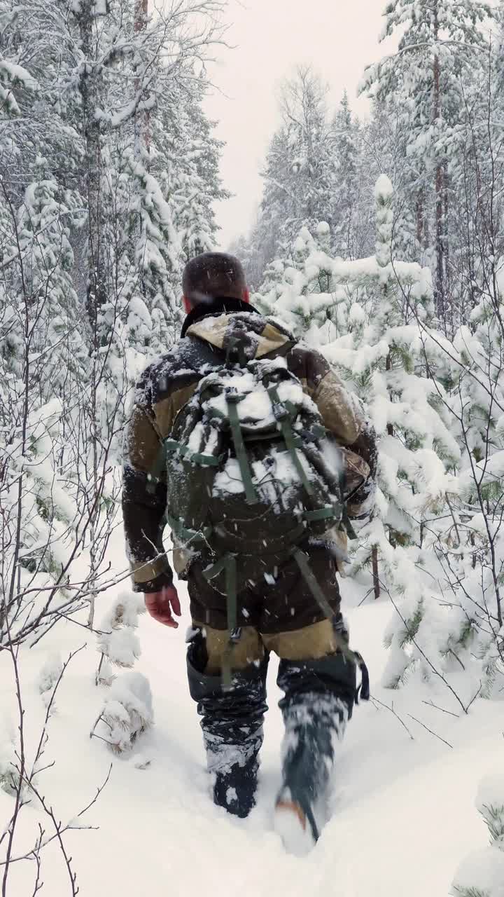 背着背包旅行的男子。冬季徒步旅行者在森林里徒步。视频下载