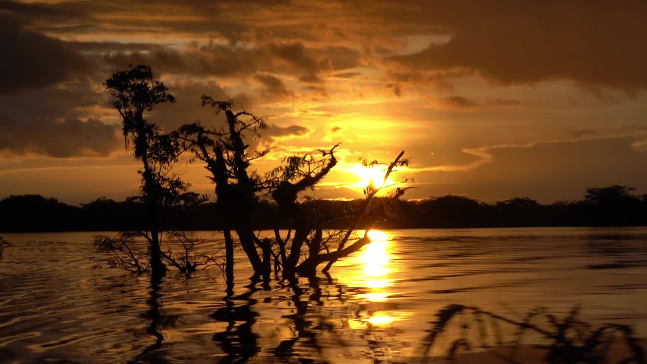 在厄瓜多尔亚马逊地区热带雨林的Cuyabeno国家公园的拉古纳格兰德日落。视频下载