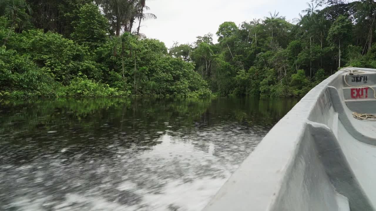 在厄瓜多尔的亚马逊地区的热带雨林中，在Cuyabeno野生动物度假村的热带丛林中，从摩托艇一侧俯瞰水面。视频下载