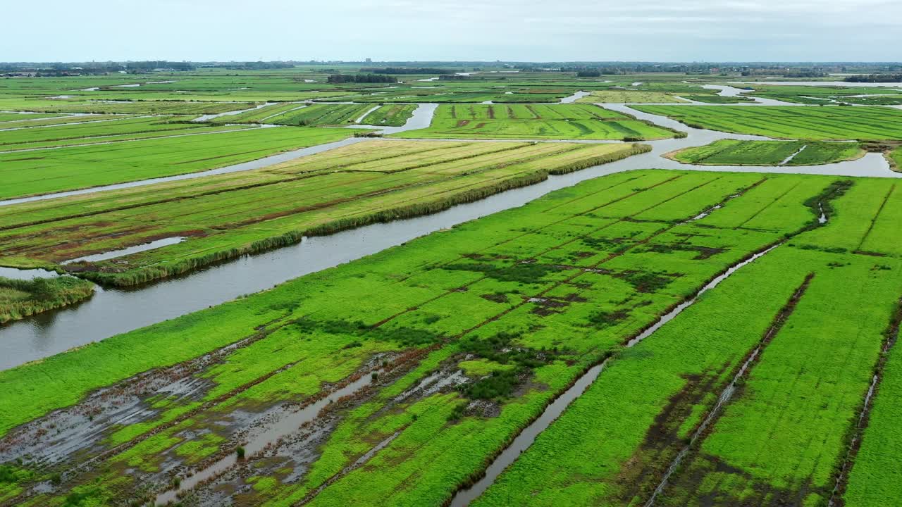 荷兰湿地的航拍画面视频素材