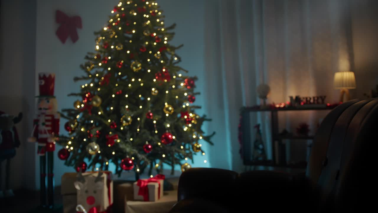 圣诞节的房子装饰视频下载