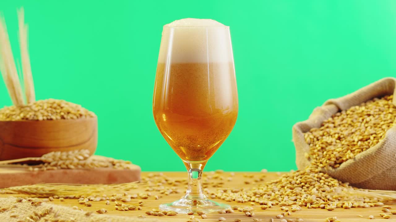 泡沫啤酒在玻璃特写。酒精金色啤酒杯喝。新鲜的淡色麦酒以绿色为主色背景和小麦为基调。视频下载