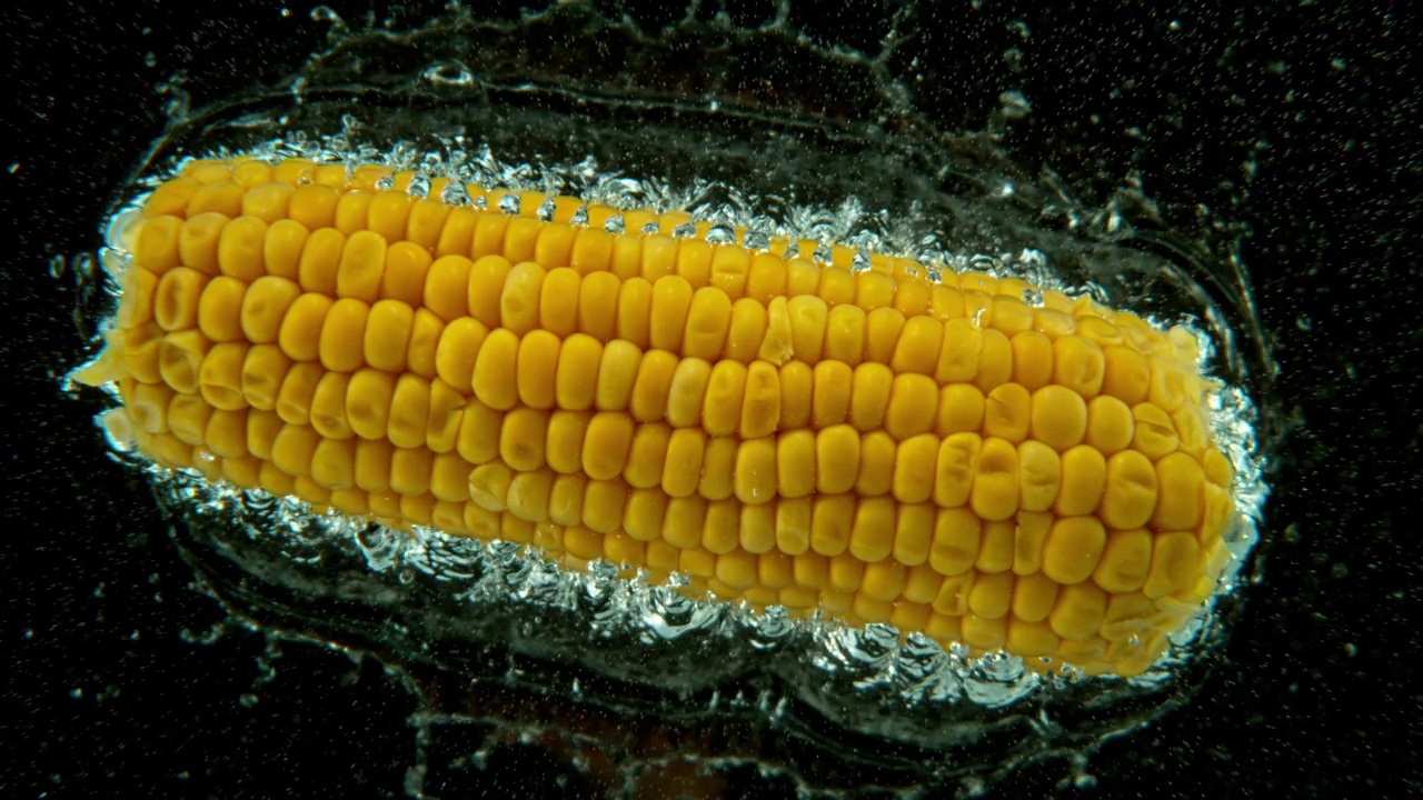 黑色背景下整粒玉米落入水中的超级慢动作。视频下载