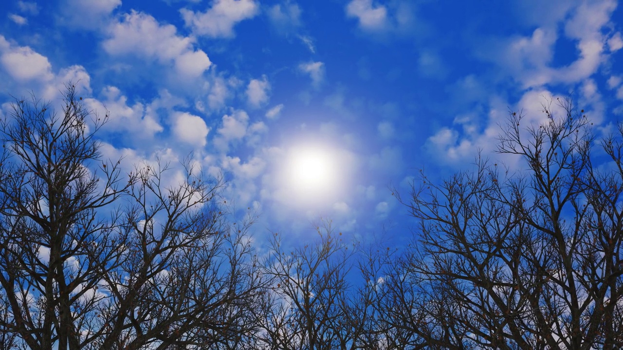 放大到树顶在雾蒙蒙的蓝色多云的天空和太阳视频下载