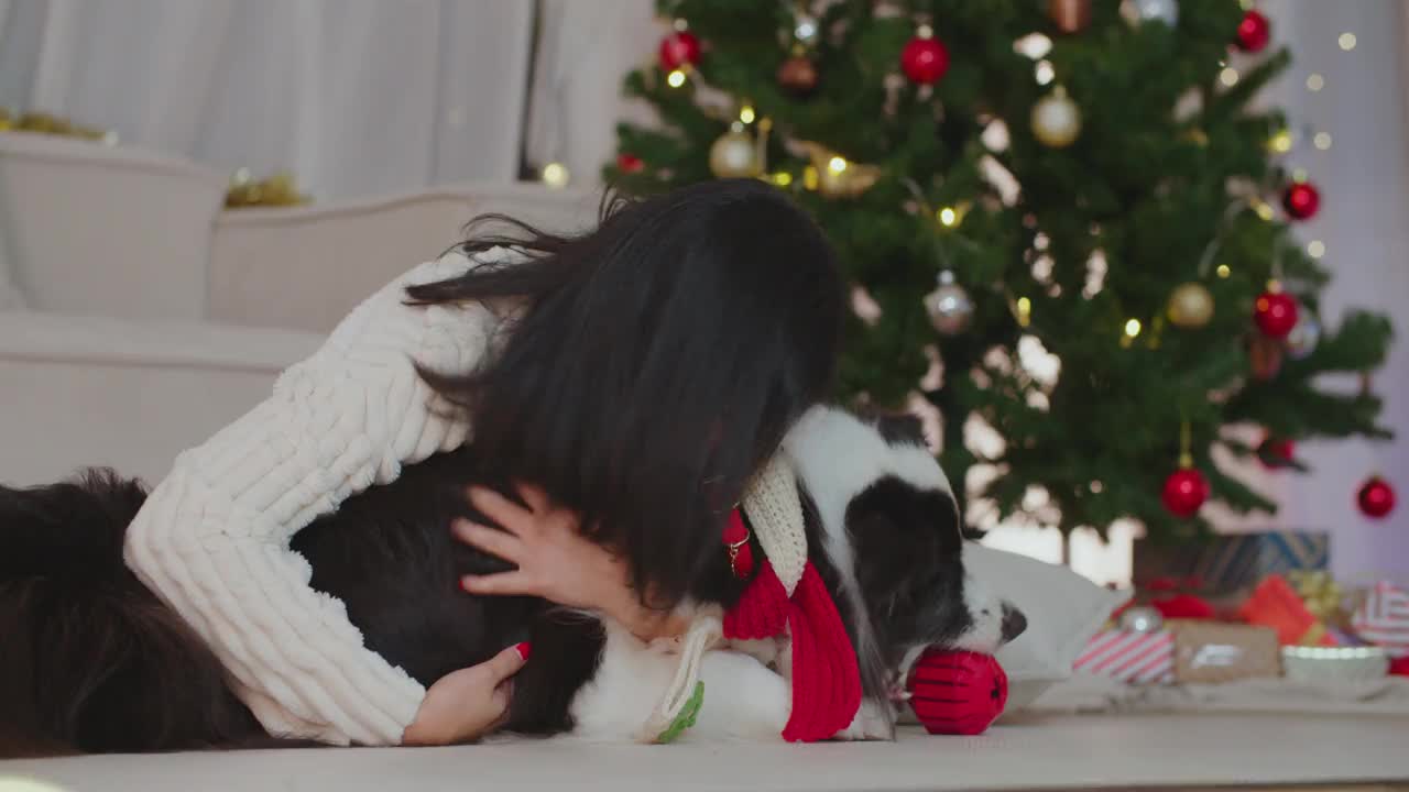 快乐的女人喜欢在圣诞节的时候在家里和狗玩耍。新年假期。视频下载