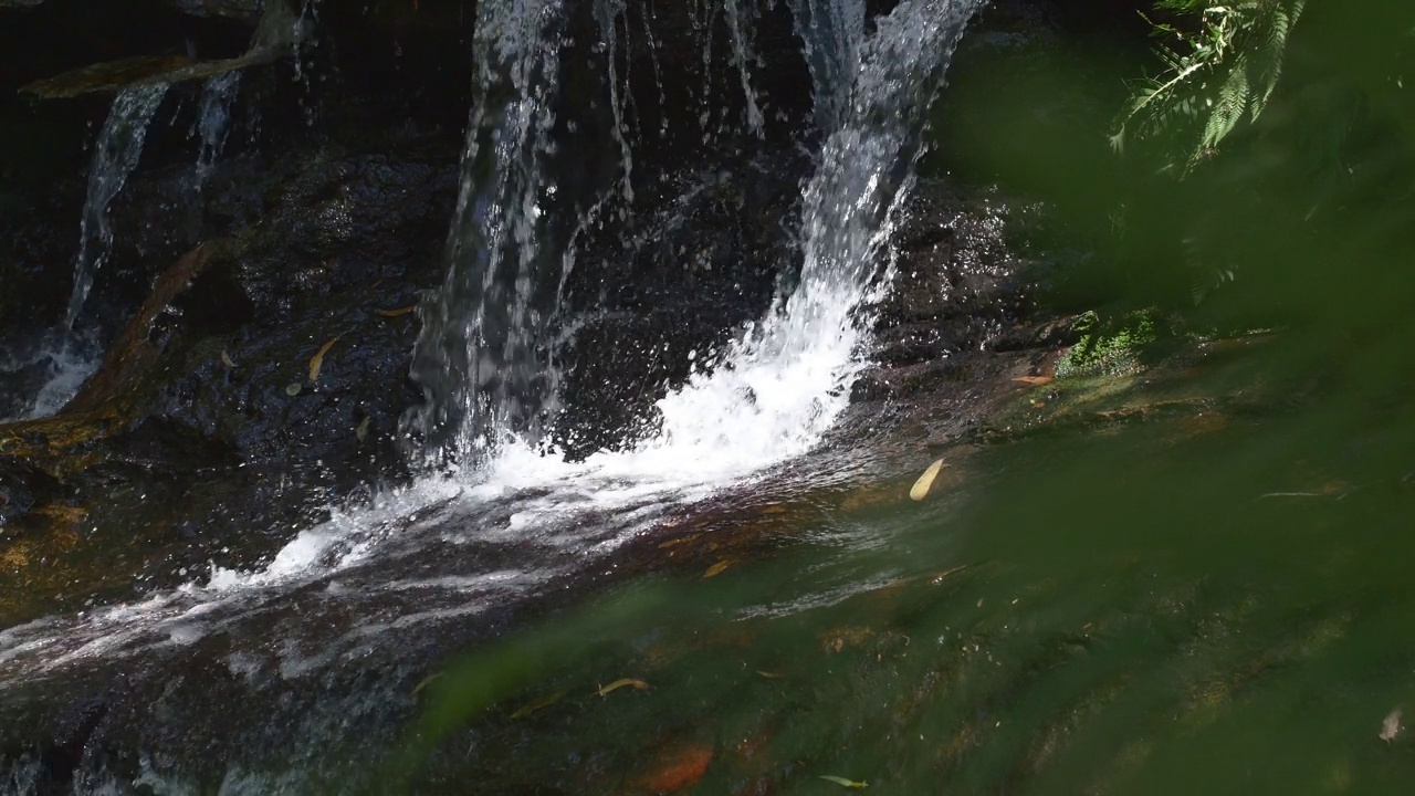 蓝山，新南威尔士州，澳大利亚:天然溪流视频下载