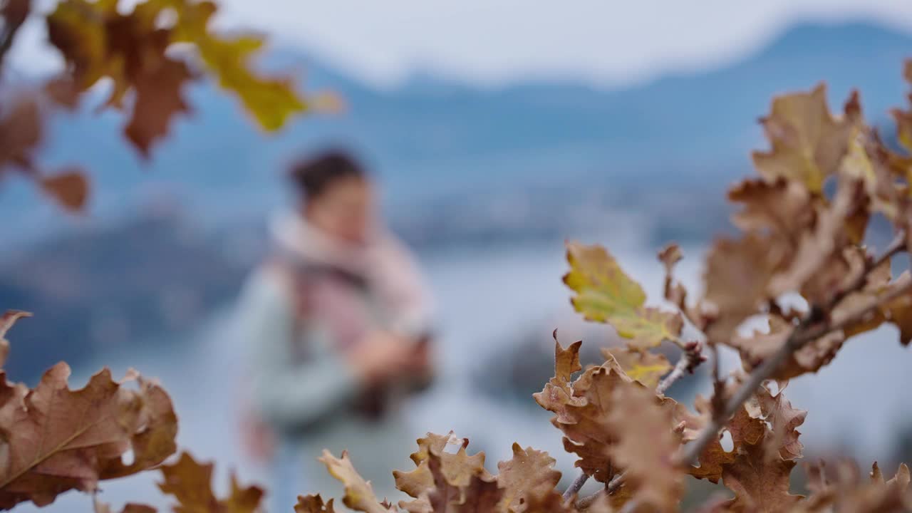 SLO - MO的镜头对准了微笑的年轻女游客拿着智能手机对着布莱德湖自拍视频下载