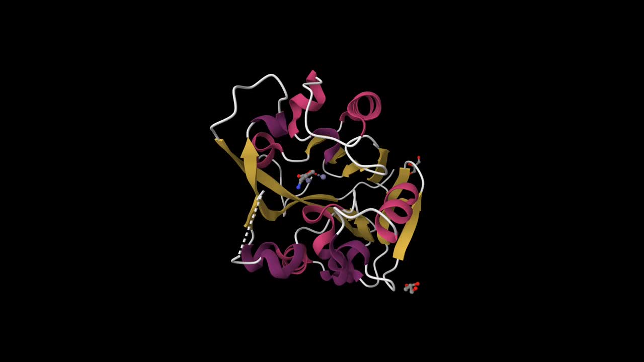 群体猝灭n -酰基同丝氨酸内酯内酯酶与底物结合的晶体结构视频下载