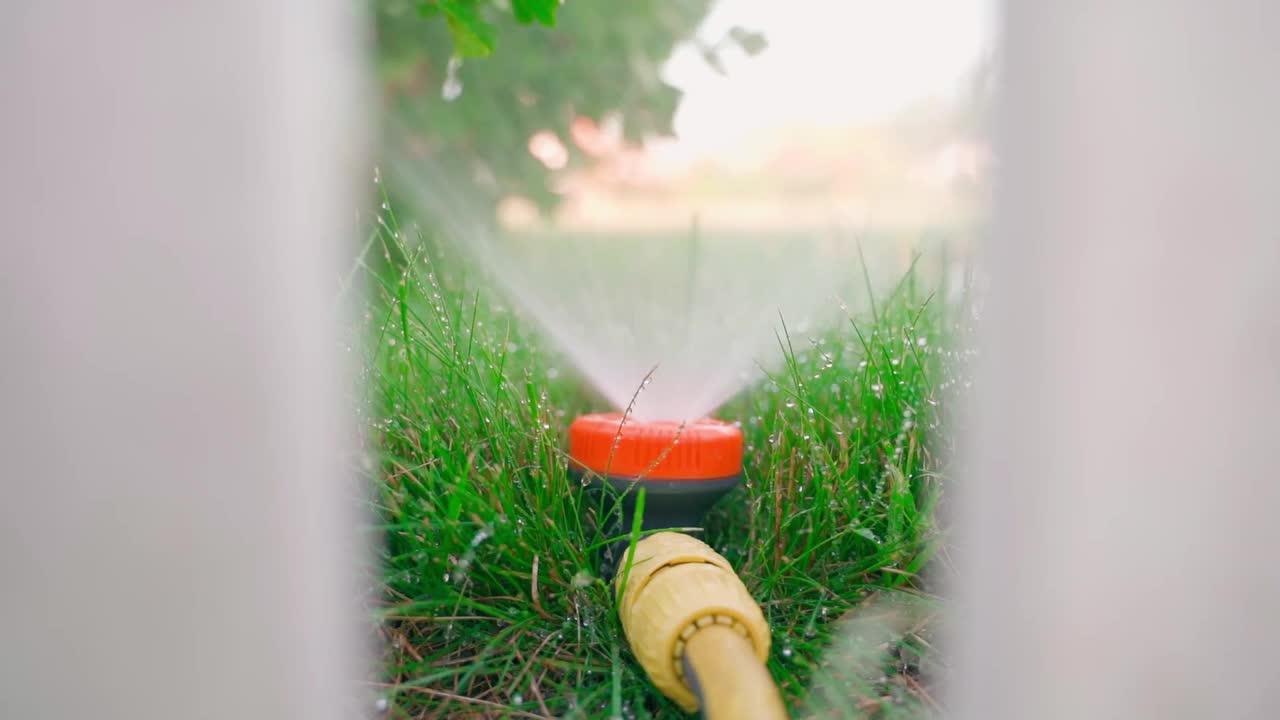 洒水器在浇灌草坪(特写)。夏天傍晚浇草视频素材