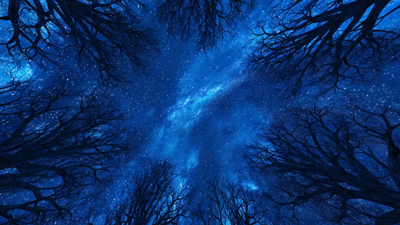 星光灿烂的天空，光秃秃的树木，树枝和树梢围成一圈，相机慢慢向上移动视频下载