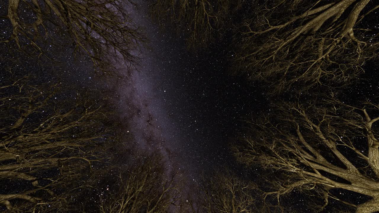 星空和银河系，光秃秃的树，树枝和树梢围成一圈，相机慢慢向上移动视频下载