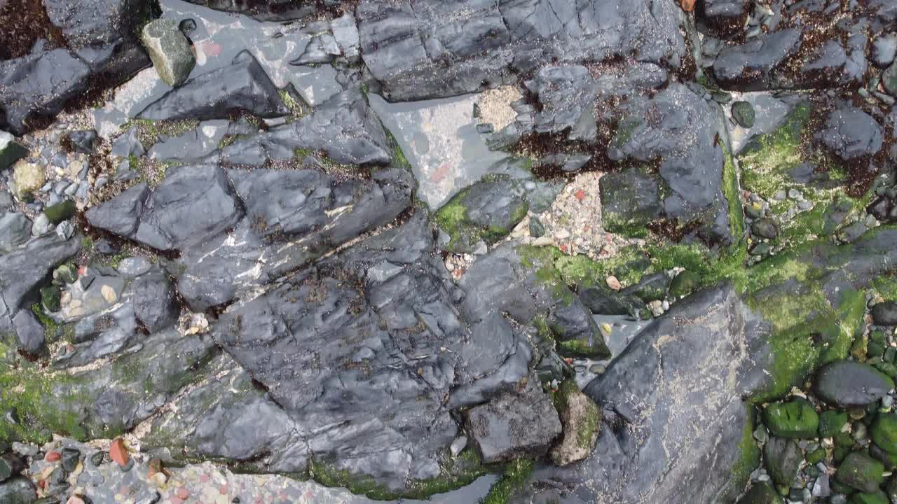 海岸上的岩石和藻类视频下载