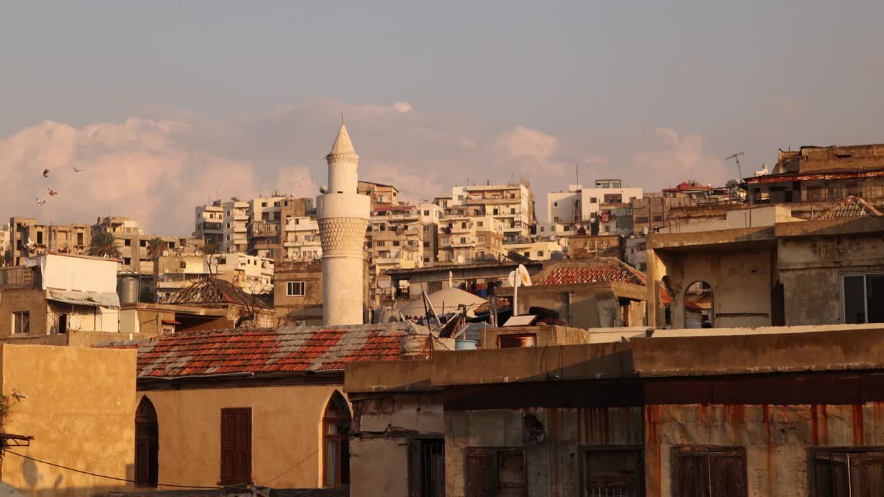 黎波里，黎巴嫩北部的中东村庄，日落时分，鸟儿在尖塔周围飞翔视频下载