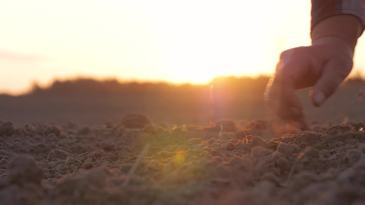 日落时分，田野里的人用手拿着尘土飞扬的土地的特写视频素材