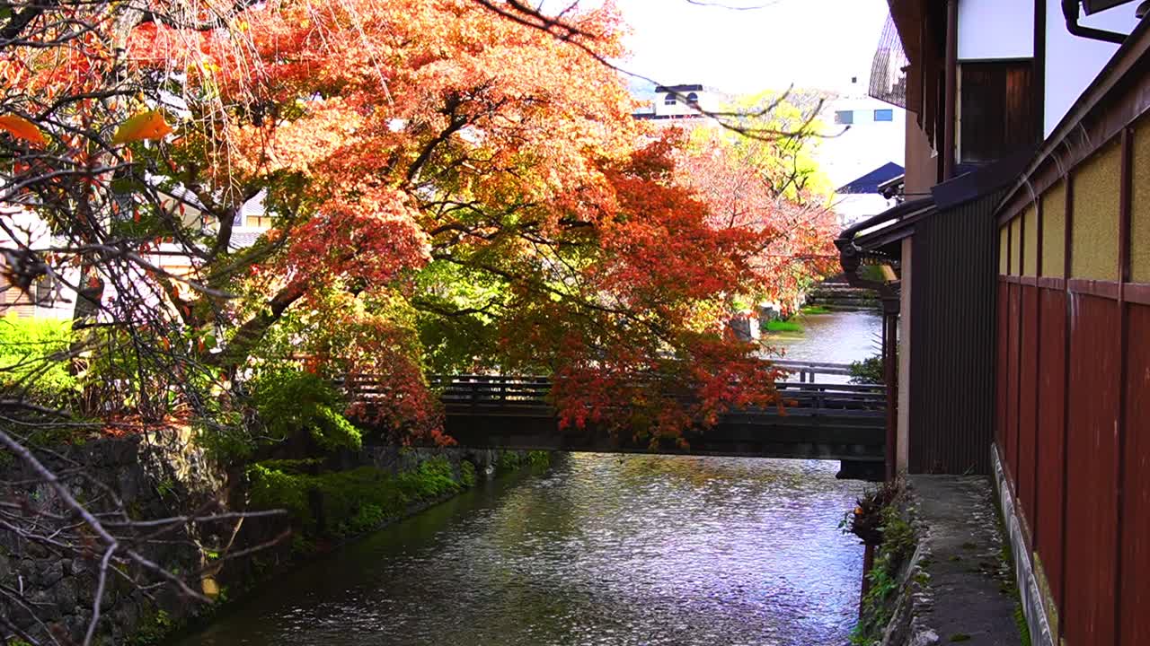 京都著名的祗园白川河、秋叶和日本传统町屋视频下载