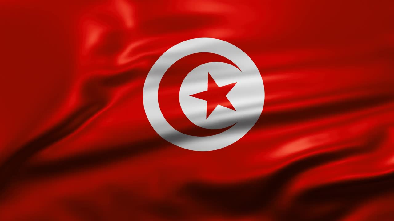 突尼斯国旗视频下载