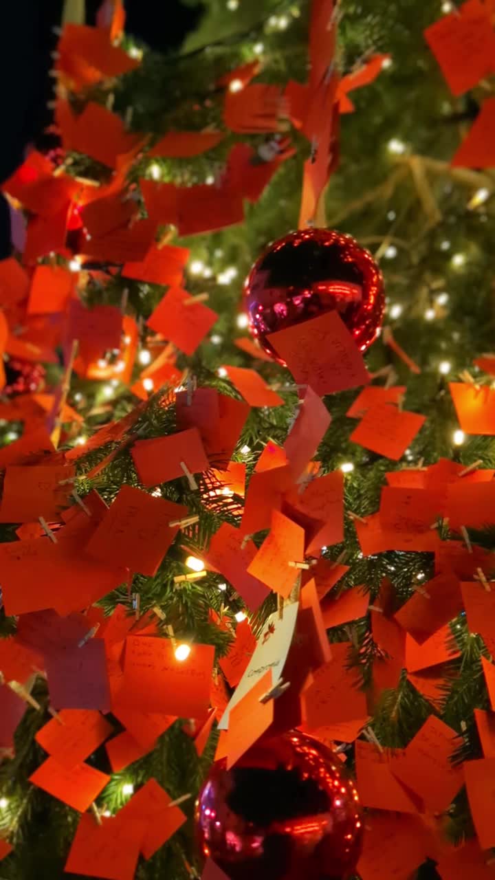圣诞树上的装饰品和闪烁的彩灯视频下载