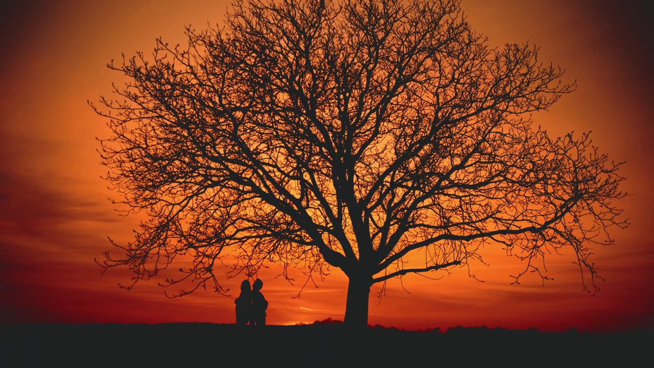 橘黄色的天空衬托下，树下背靠背的孕妇剪影视频下载