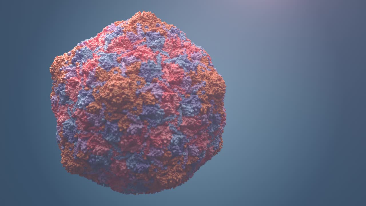 HK97噬菌体病毒的生物组装。视频下载