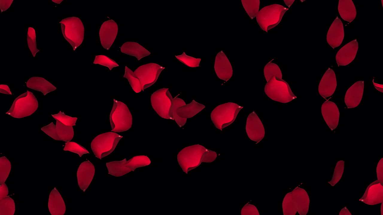 玫瑰花瓣情人节环路瓷砖漩涡与α。这个浪漫的玫瑰花瓣3d动画是可循环和平铺的，可以创建一个无限无缝的背景纹理。视频下载