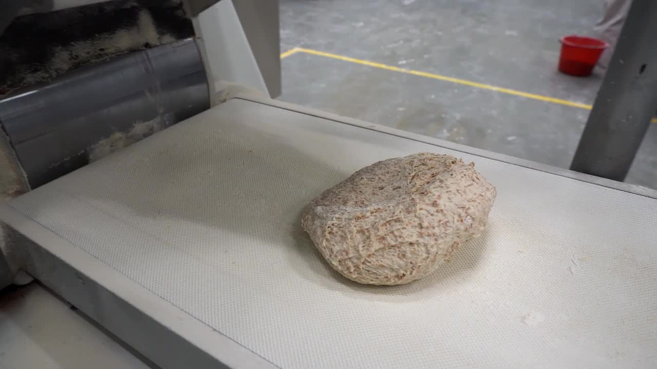 新鲜的全麦面粉面团在面包工厂的传送带上移动-慢动作视频素材