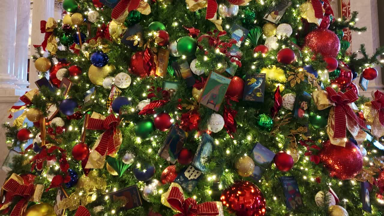 华盛顿特区国会图书馆大厅的圣诞树视频下载