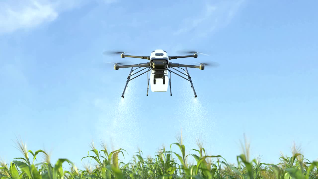 玉米田无人机喷肥、智慧农业创新、农业科技视频下载