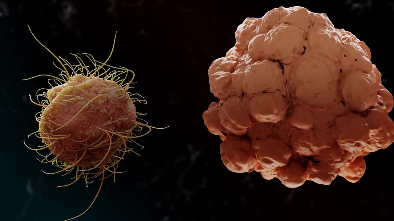 黑色背景上的病毒和癌细胞3D动画视频下载
