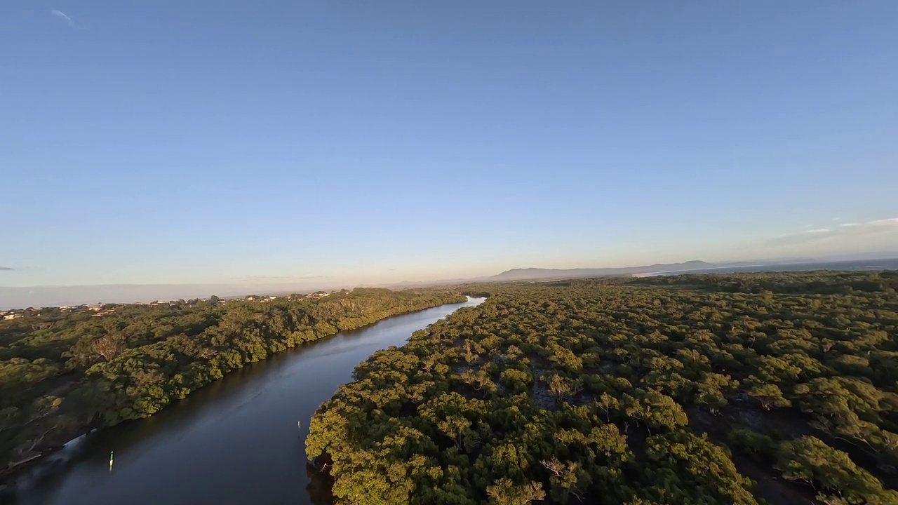 低空快速鸟瞰小溪和红树林。视频下载