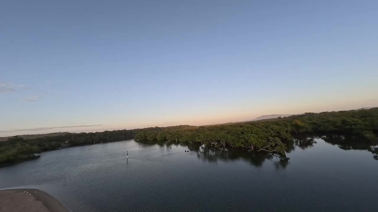日出时金色红树林的鸟瞰图。视频下载