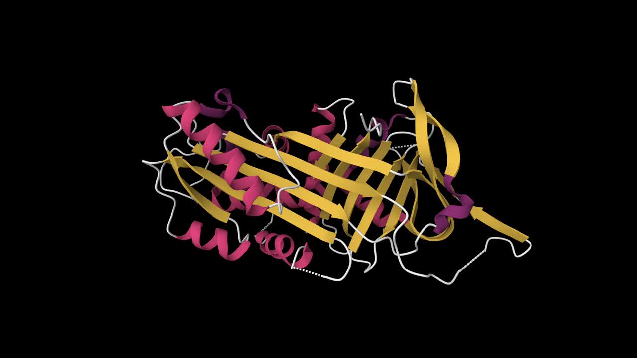 天然人类神经丝氨酸蛋白的结构视频素材