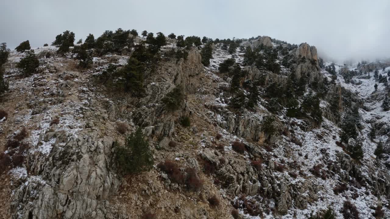 无人机在冬天捕获了一个有森林的山脉。视频下载