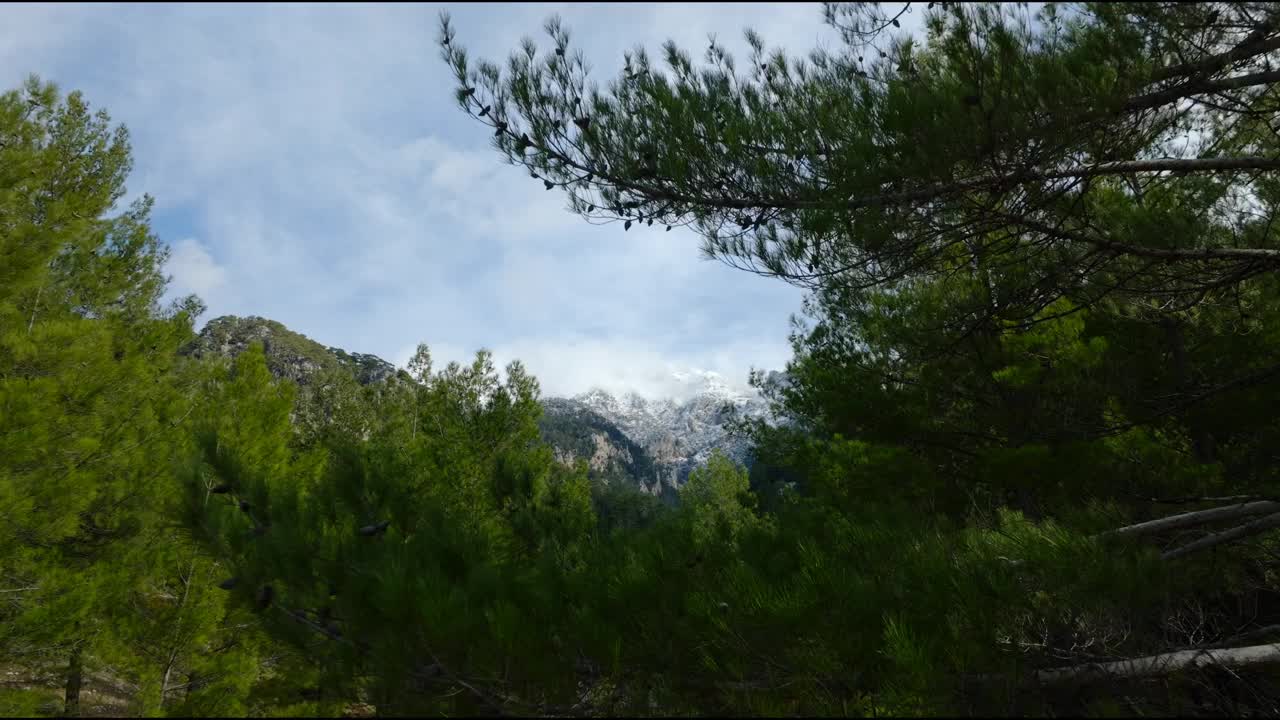 无人机在冬天捕获了一个有森林的山脉。视频下载
