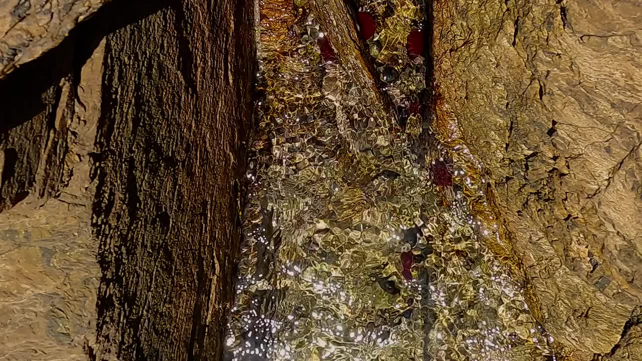 希腊爱琴海的华拉塔海葵视频素材