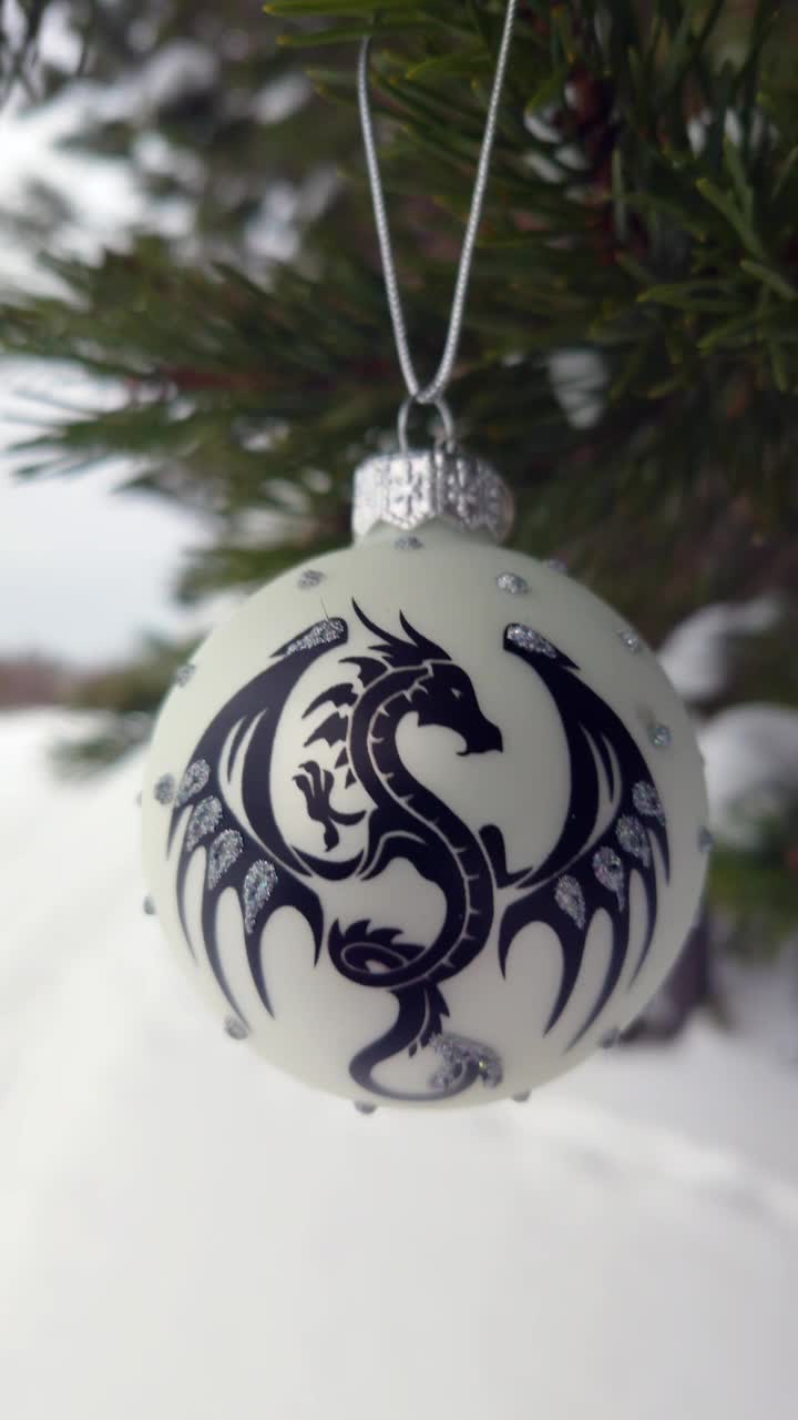 象征2024年龙。在公园里装饰了一棵白雪覆盖的圣诞树。圣诞快乐，新年快乐。自然装饰着新年的玩具。视频下载