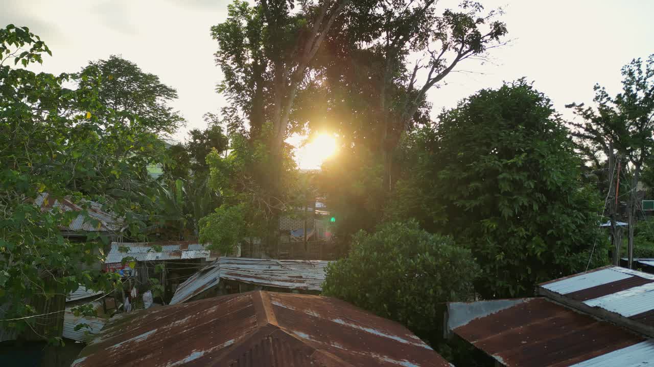 古老的住宅建筑和日落时的奇异树木视频下载