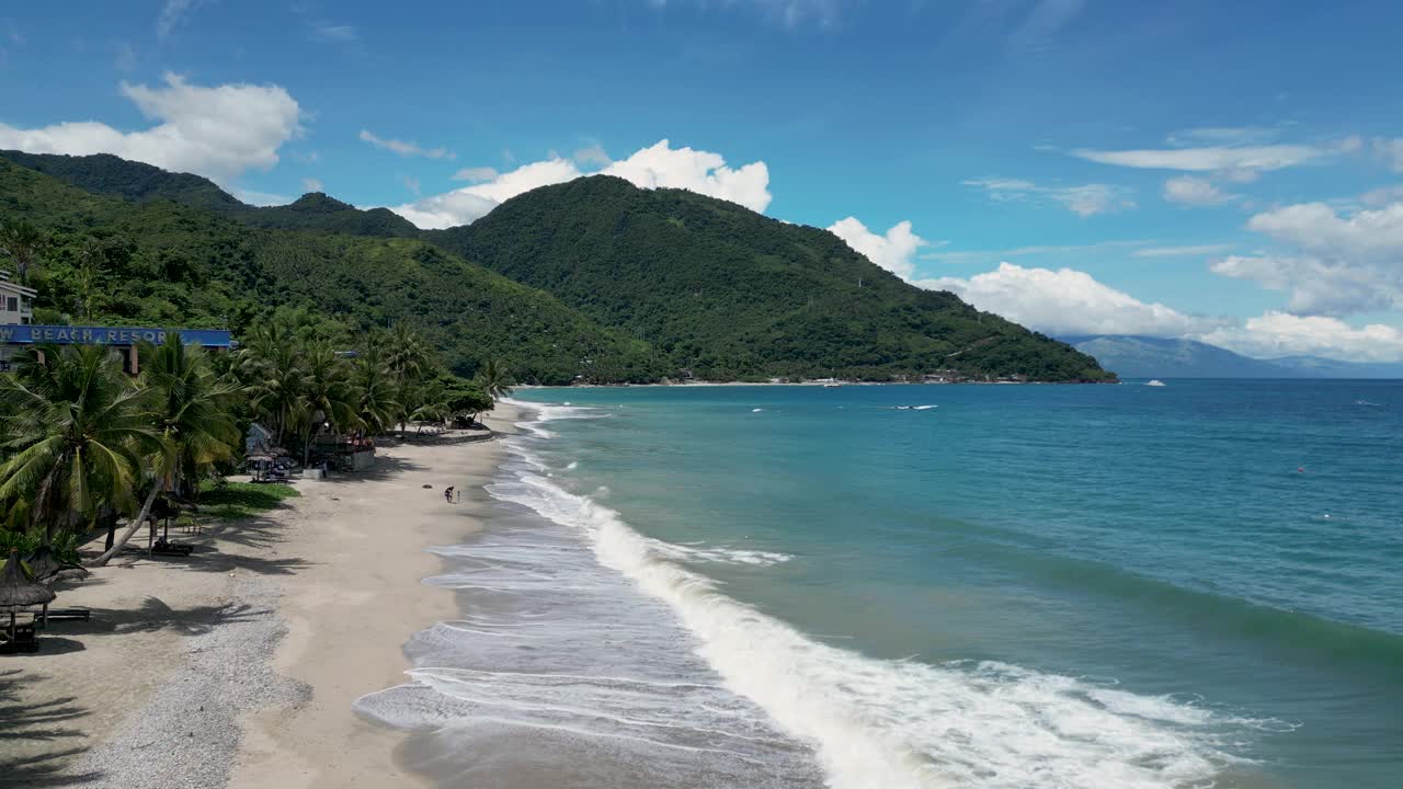 热带地区的沙滩被海水冲刷，有异国情调的树木视频下载