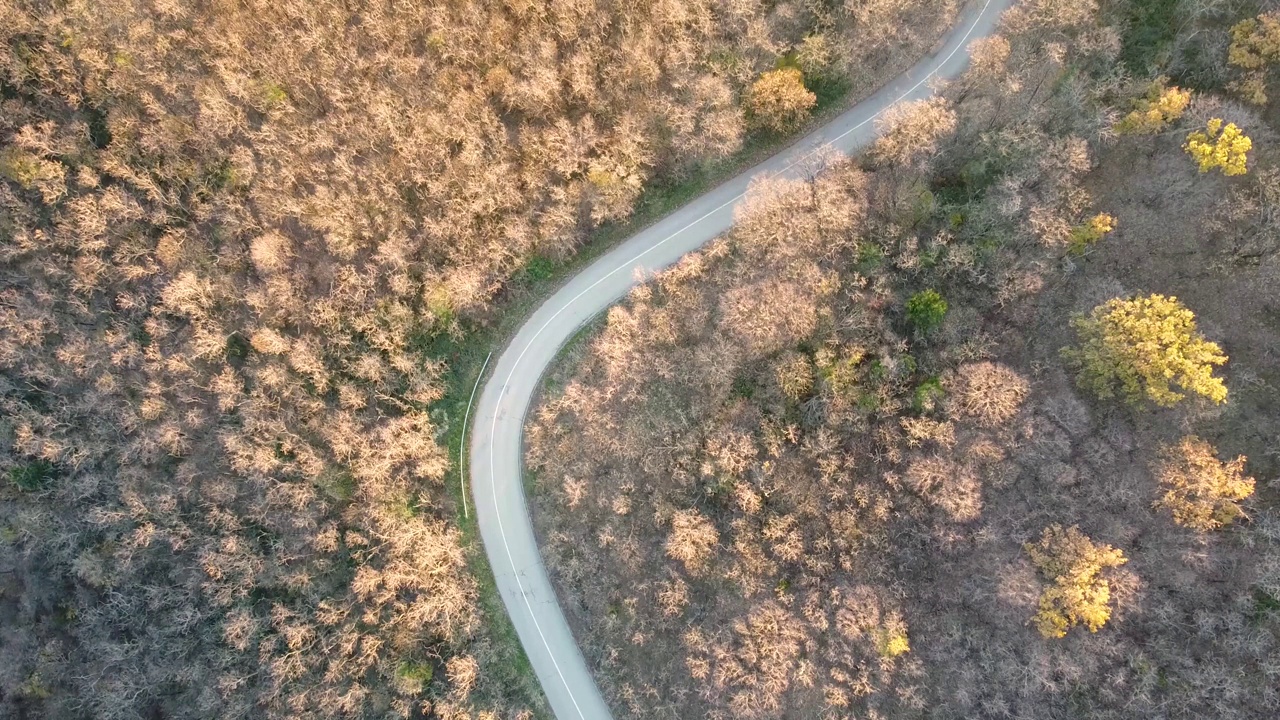 飞过森林视频下载