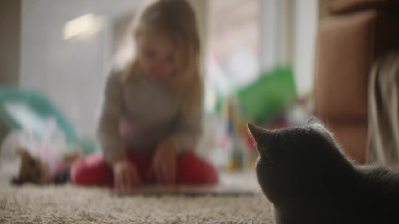 小女孩在后台忙着玩，家里的宠物猫远远地看着她视频下载