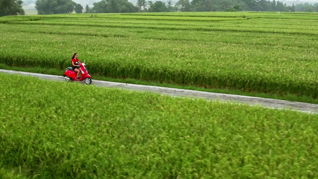 身着夏装的年轻女子骑着老式摩托车在中间的稻田里，她们是当地农民视频下载