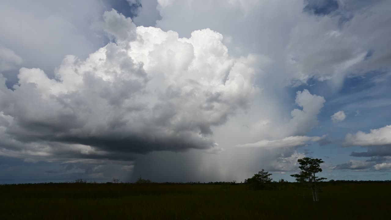 大沼泽地国家公园(Everglades National Park)的锯齿草上雨云形成的延时照片。视频下载