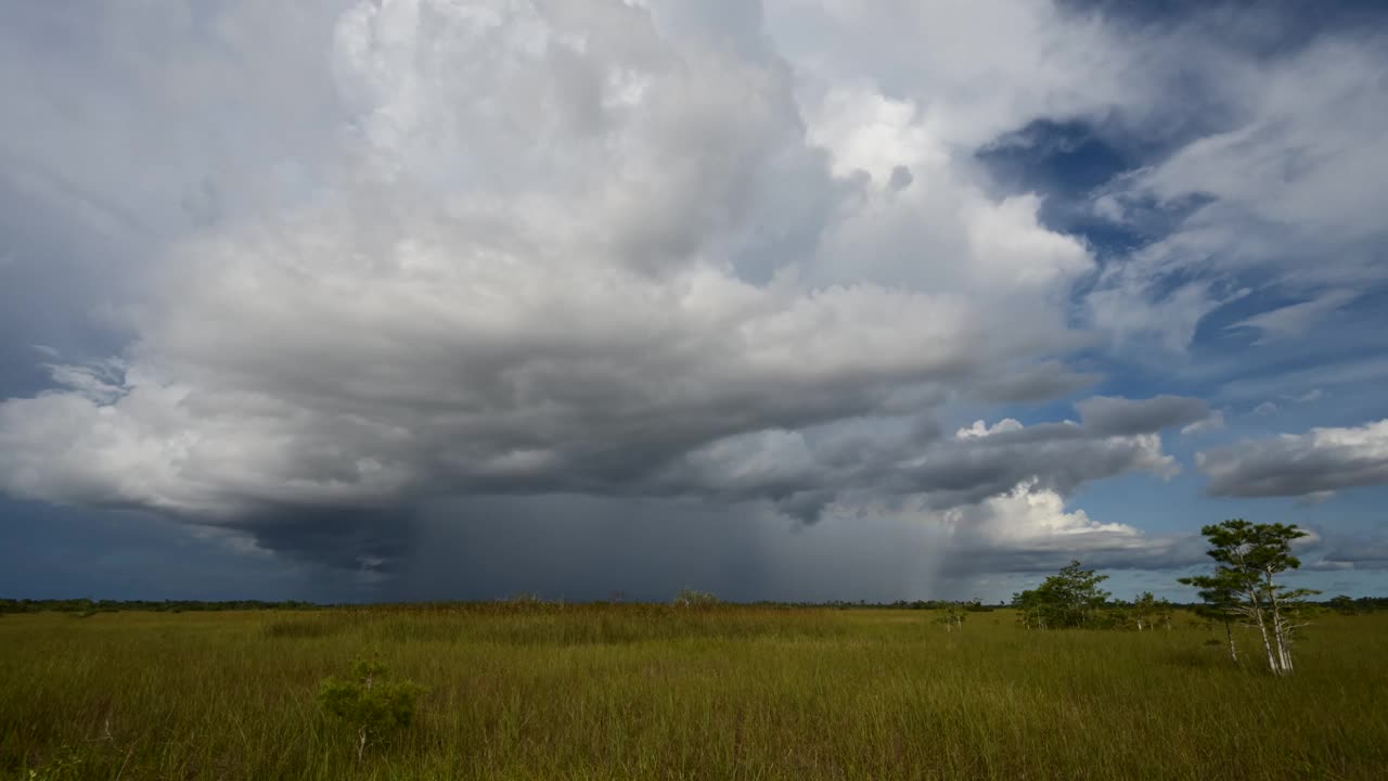 大沼泽地国家公园(Everglades National Park)的锯齿草上雨云形成的延时照片。视频下载