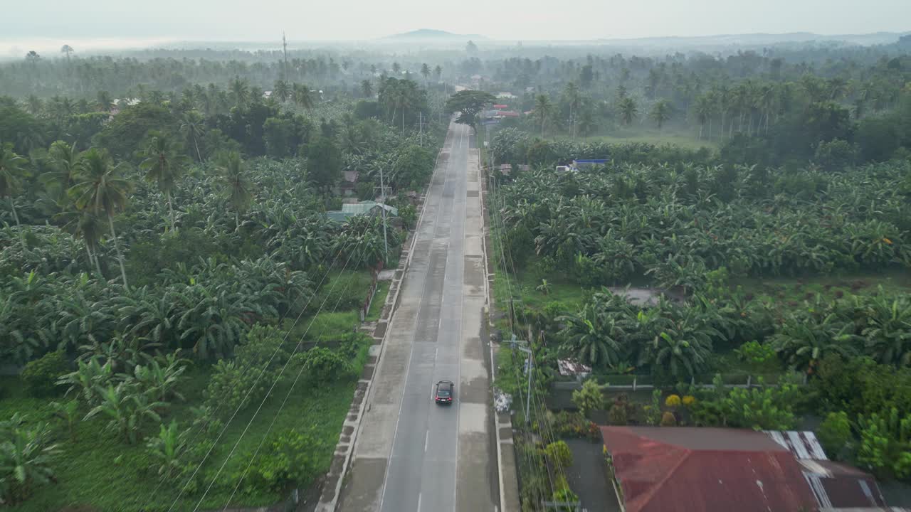 汽车行驶在被热带树木环绕的沥青公路上视频下载