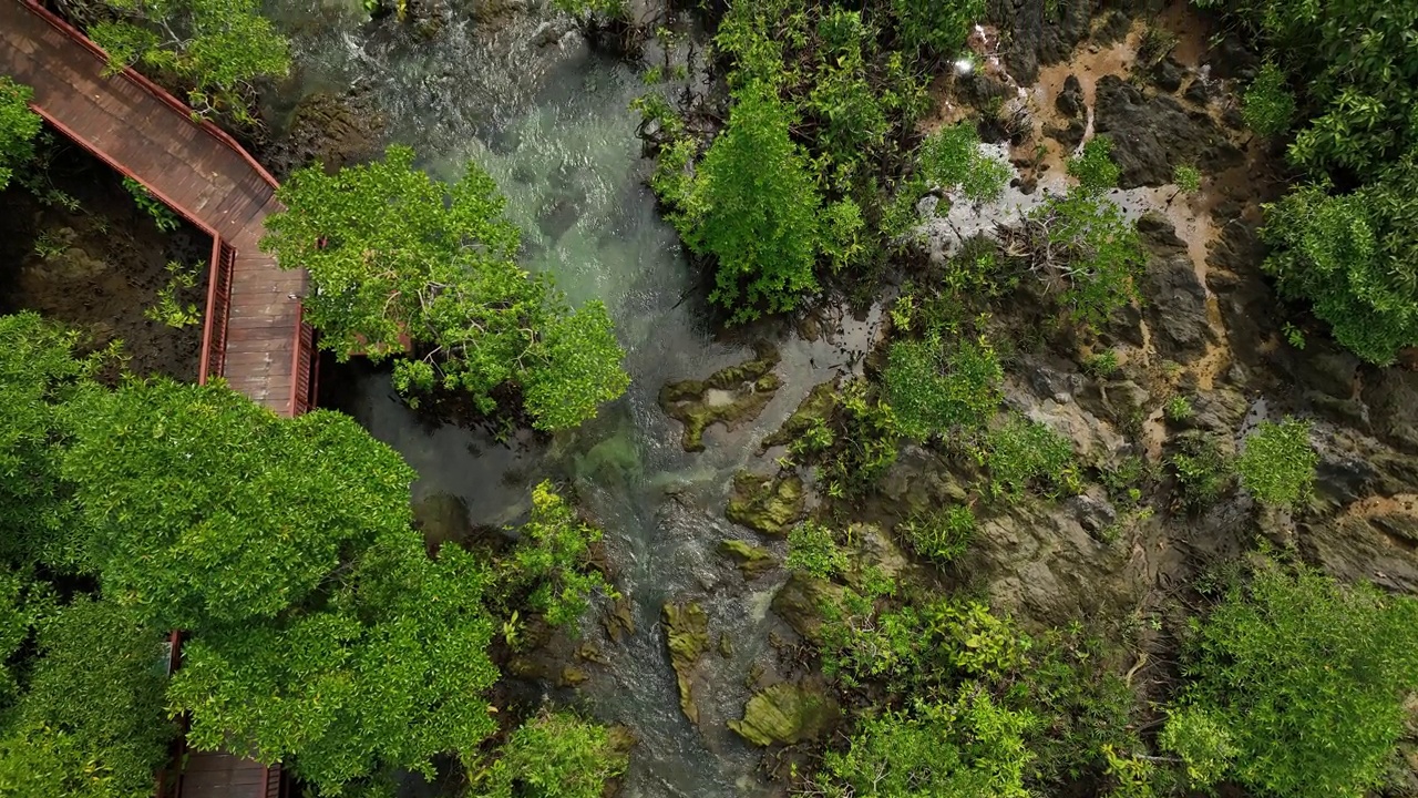 空中俯瞰的红树林与水流，甲米，泰国视频下载